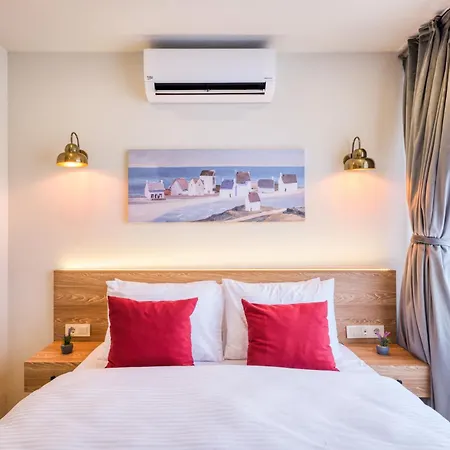 Elephant In The Hotel Estambul