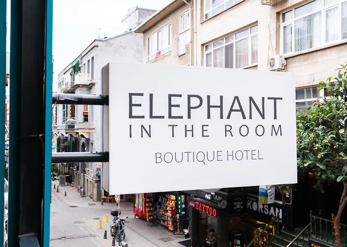 Elephant In The فندق